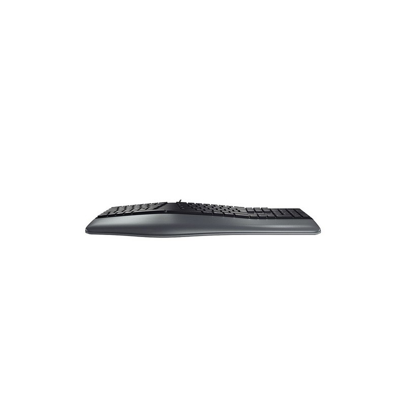 Tipkovnica USB Tipkovnica Cherry KC 4500 ERGO, črna