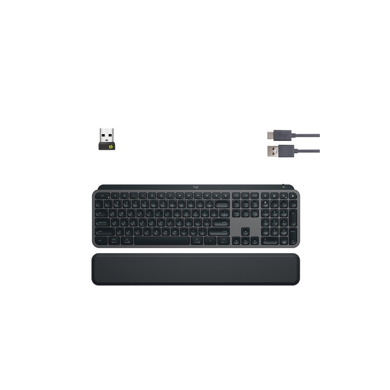 Tipkovnica Logitech MX Keys S PLUS, grafitna