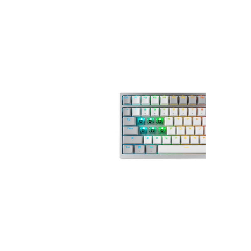 Tipkovnica ASUS ROG Azoth Wireless, NX Red, PBT, OLED, bela