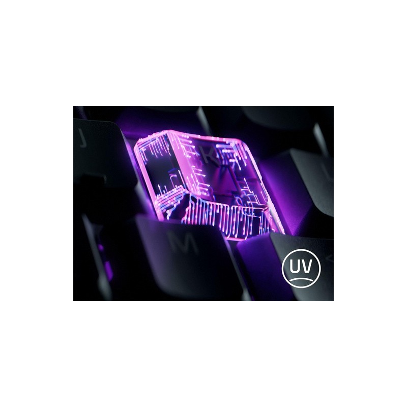 Tipkovnica Razer Ornata V3 Tenkeyless, US SLO g.