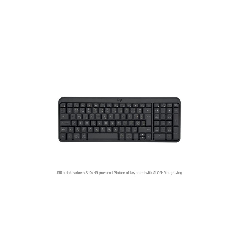 Tipkovnica Logitech K250, SLO g.