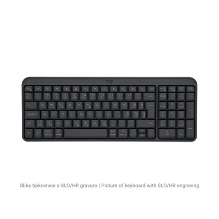 Tipkovnica Logitech K250, SLO g.