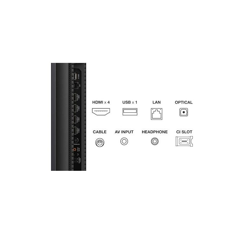 Televizor TCL 55C805