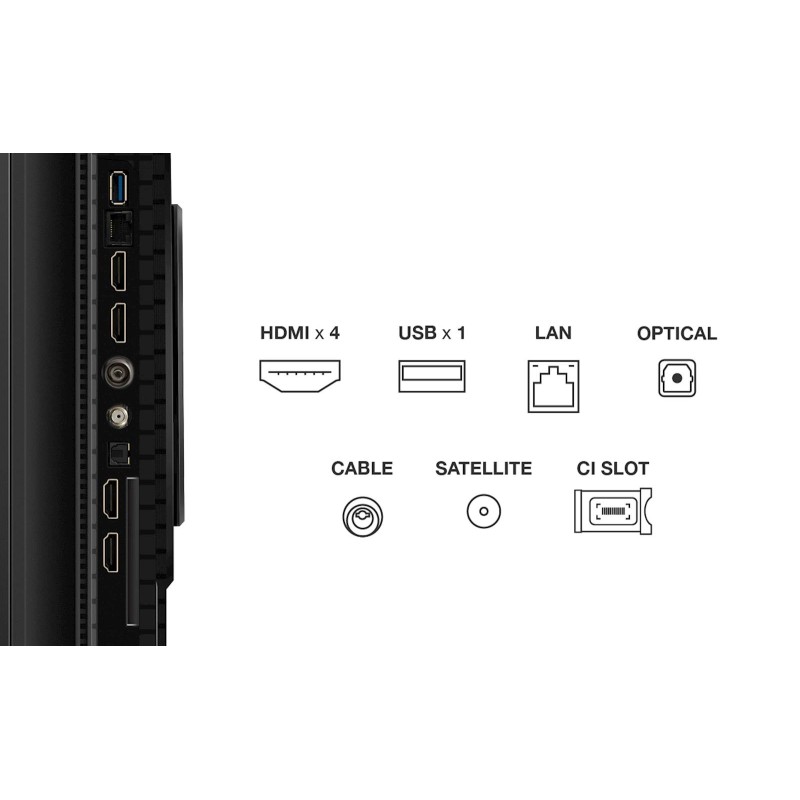 Televizor TLC 55P81K