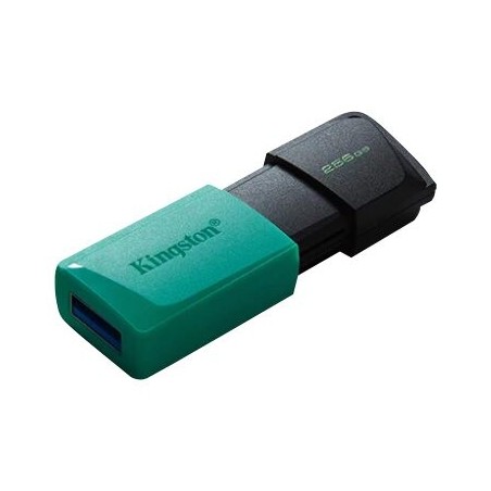 USB ključek Kingston 256GB DataTraveler Exodia M