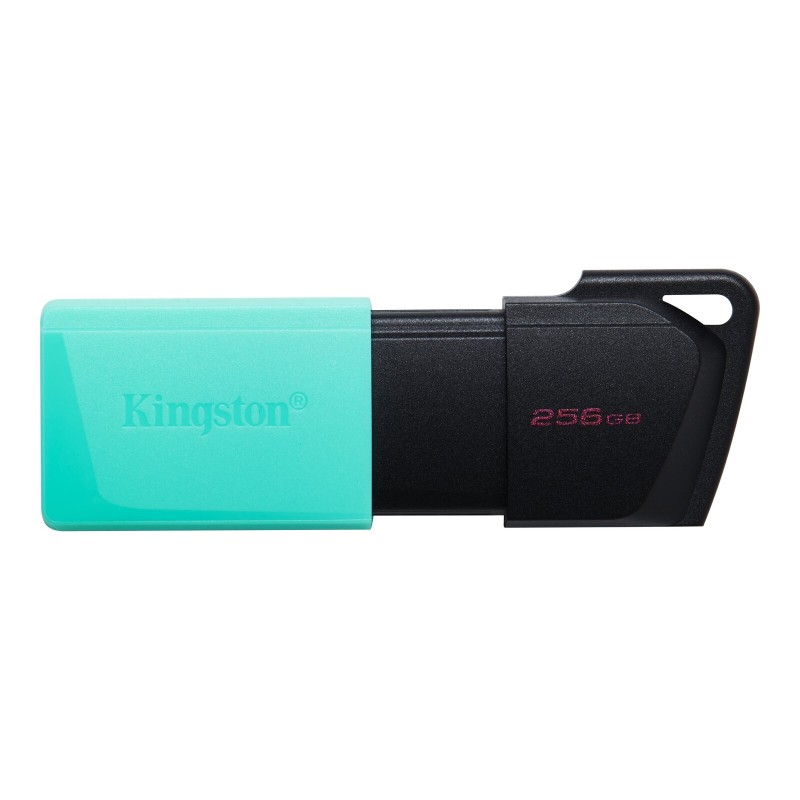 USB ključek Kingston 256GB DataTraveler Exodia M