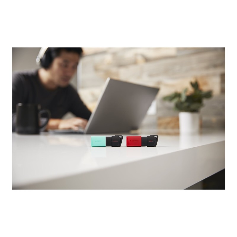 USB ključek Kingston 256GB DataTraveler Exodia M