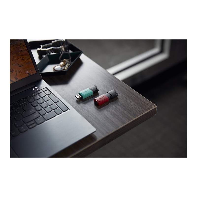 USB ključek Kingston 256GB DataTraveler Exodia M