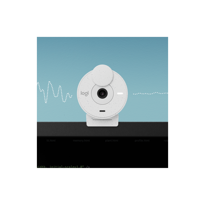 Kamera Logitech Brio 300, bela, USB