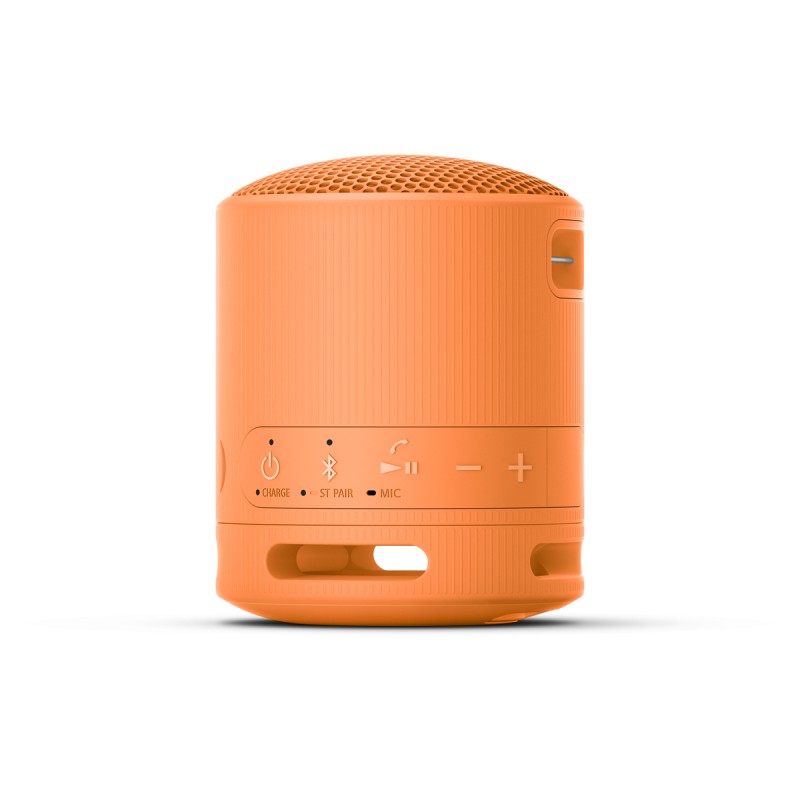 Zvočnik Sony SRSXB100D, oranžen