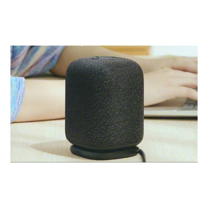 Zvočnik Sony LinkBuds SRS-LS1, črn