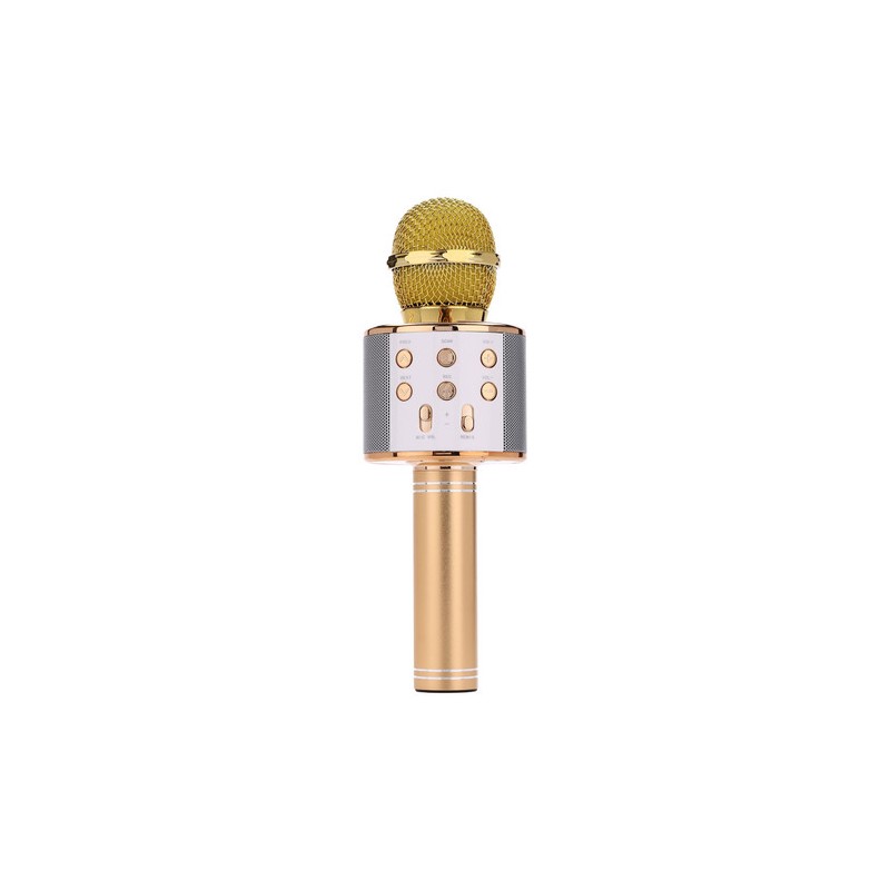 Mikrofon MANTA MIC10
