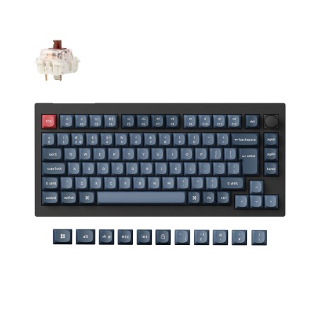 Tipkovnica Keychron V1 Max, Gateron Jupiter rjava stikala, RGB, PBT, črna