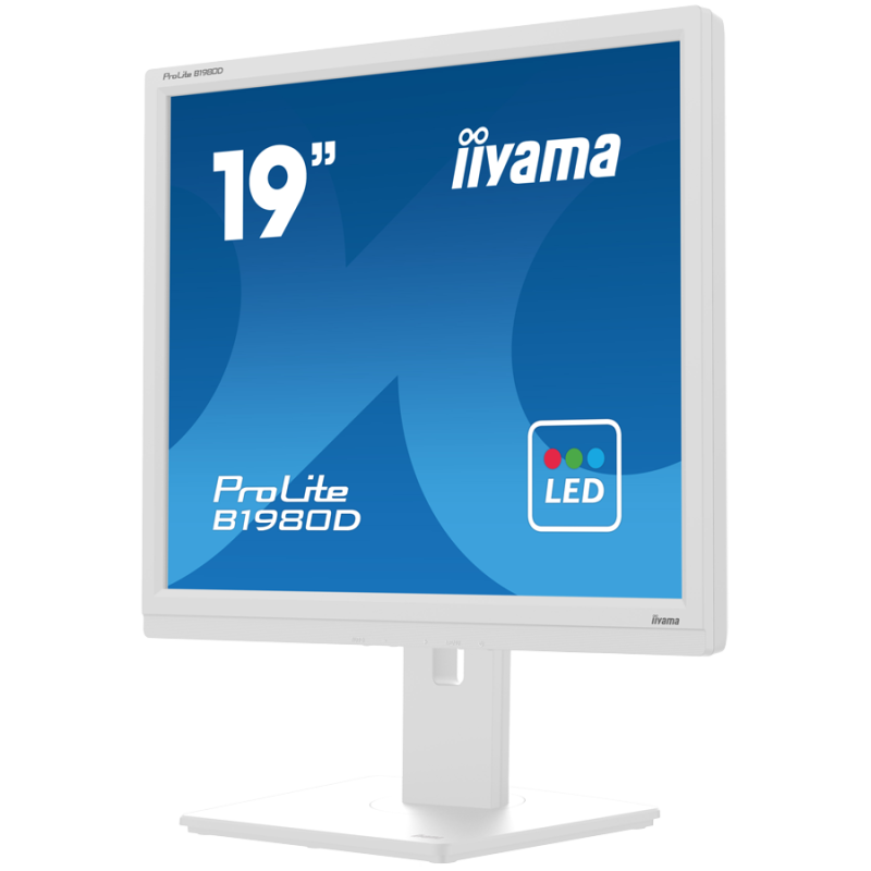 Monitor IIYAMA Prolite B1980D-W5