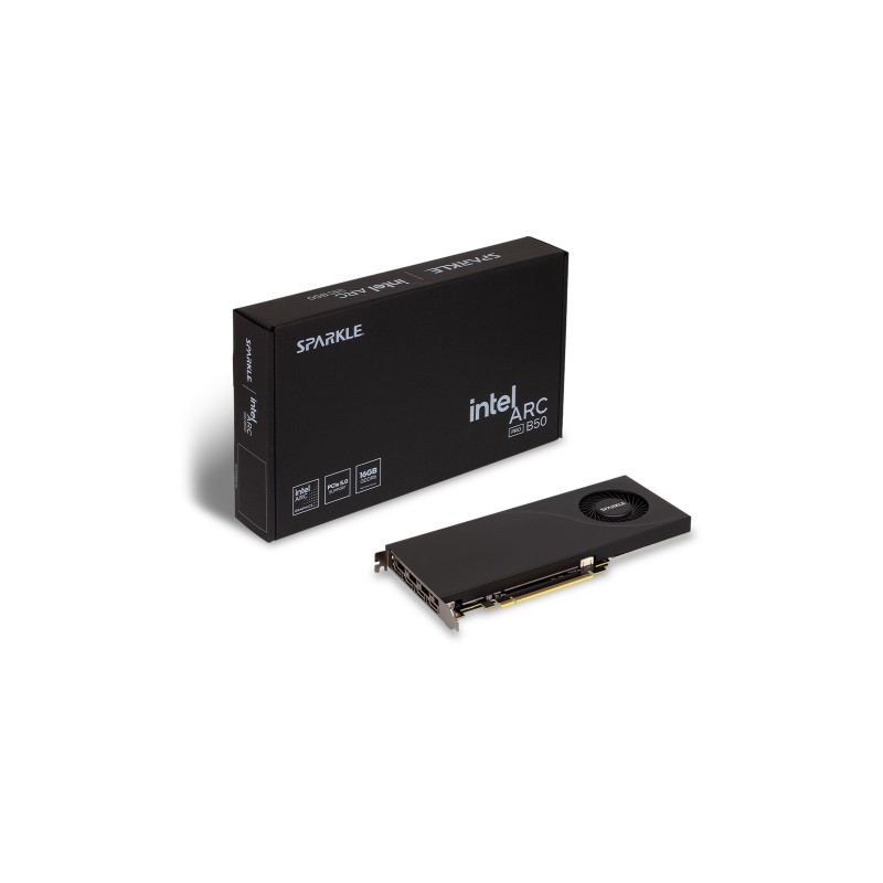 Grafična kartica Intel ARC B50 Pro Blower, 16GB