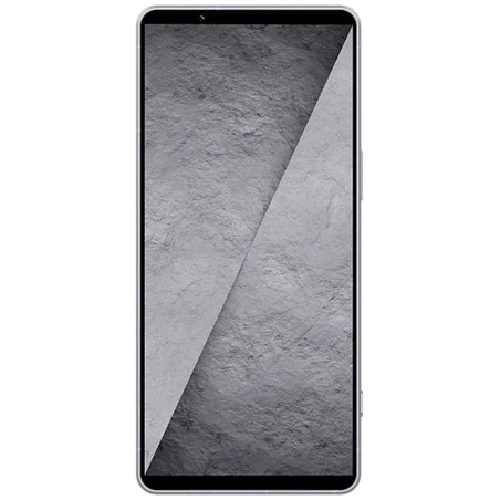 Pametni telefon Sony Xperia 1 VIII, 256GB, srebrn
