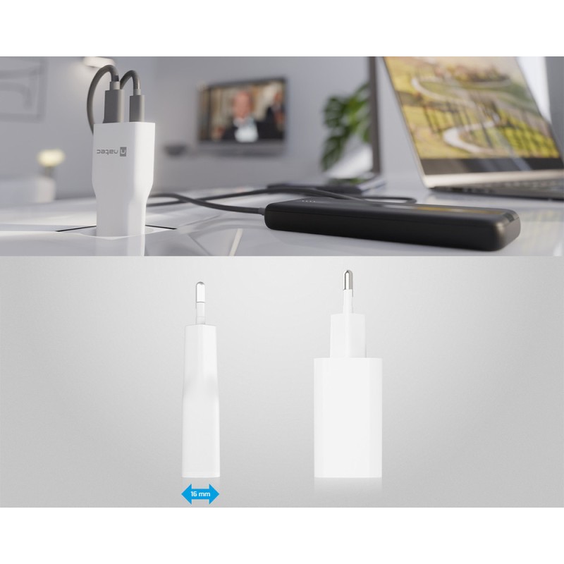 Polnilec Natec RIBERA GaN SLIM, 20W, 1x USB-A, 1x USB-C, PD 3.0, QC 3.0, črn