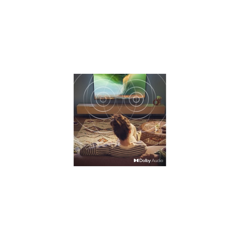 Televizor Philips 40PFS6050