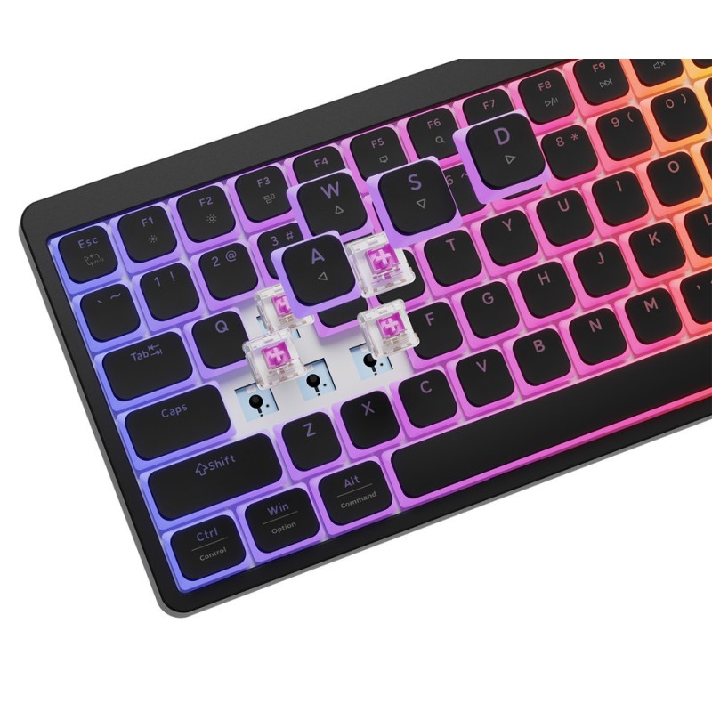 Tipkovnica Genesis Thor 430 TKL, RGB, Outemu Pink stikala, črna
