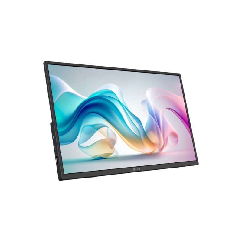 Monitor MSI PRO MP165 E6