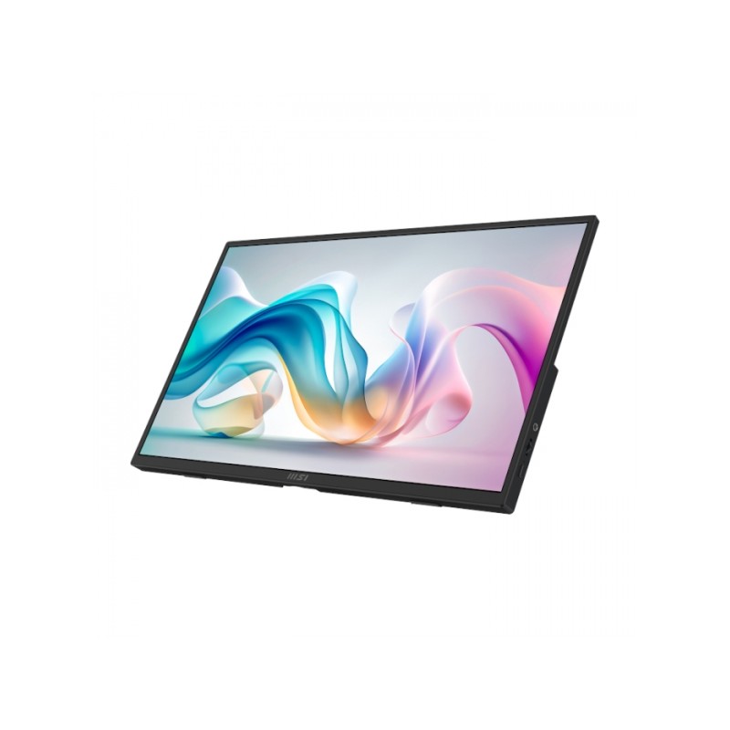 Monitor MSI PRO MP165 E6