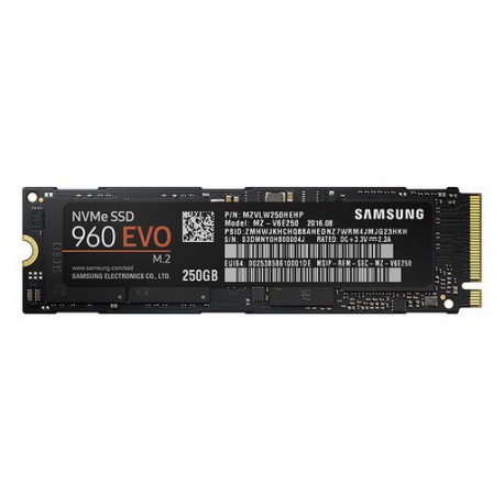 SSD disk 250GB M.2 NVMe Samsung 960 EVO, MZ-V6E250BW