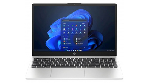 HP 255 G10