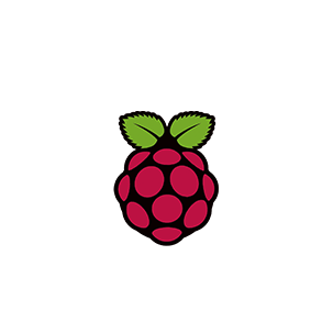 Raspberry PI foundation