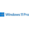 Windows 11